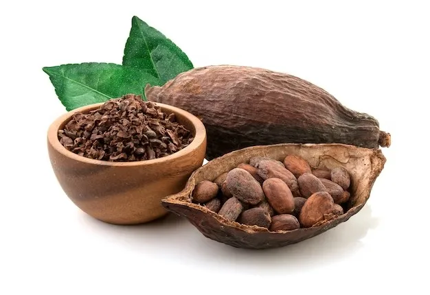 Natural Alkalized Cocoa Powder Liquid Dutch Processed Cocoa Liquor Bulk or Bag Packaging Available for Chocolate Making