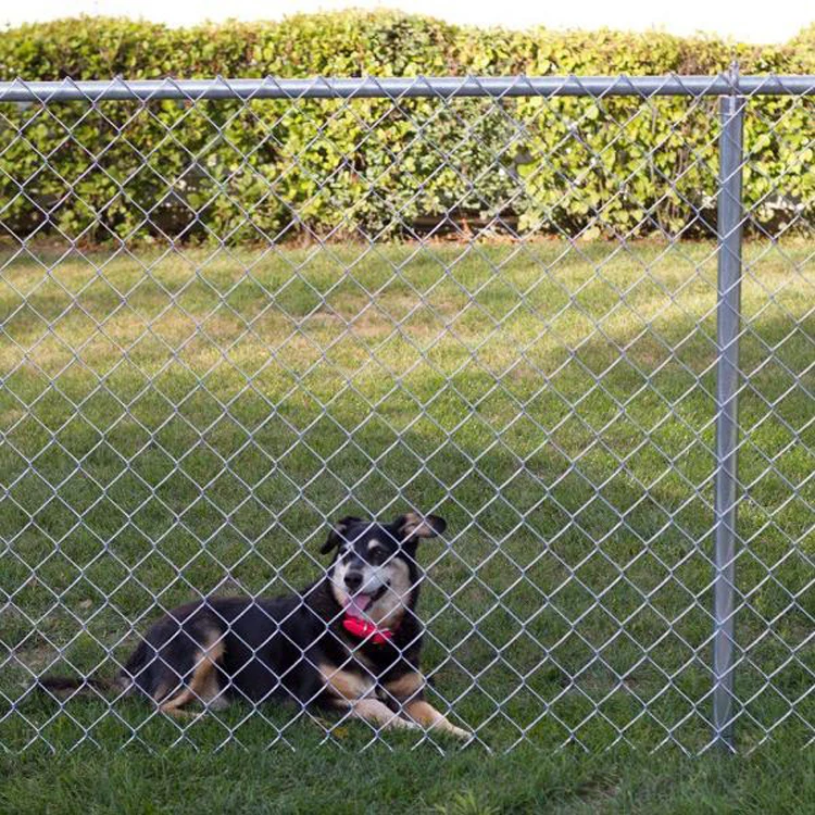 Iron Stadium Customizable Chain Link Wire Mesh Fence Green Coated Iron Net Playground Protection Safety Net