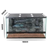 Pet climbing tank