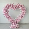 Pink2