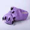 Viola