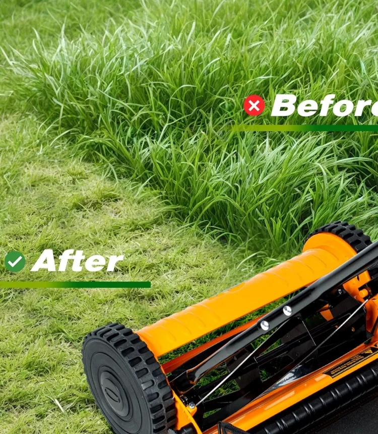 Gardening Tool Push Reel Walk-Behind Steel Lawn Mowers with Multiple-Blade 4-Position Cutting Height Adjustment