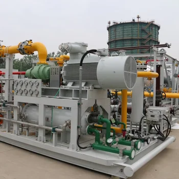 Integrated High Puirty LNG Liquefaction Module for Natural Gas Liquefaction and Transportation
