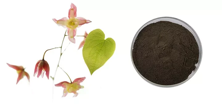 Epimedium extract Icariin 10% 20% 40% 98% Horny Goat Weed Extract Powder Epimedium Extract Powder