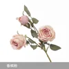 Champagne Pink - 3-Headed Royal Rose