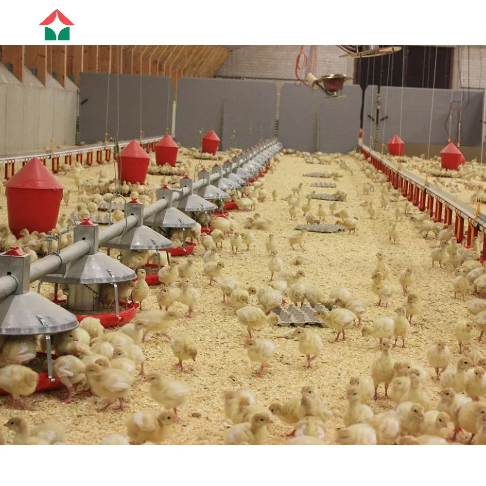 Small Chicken Coop For Farms Alibaba small-chicken-coop-for-farms-alibaba