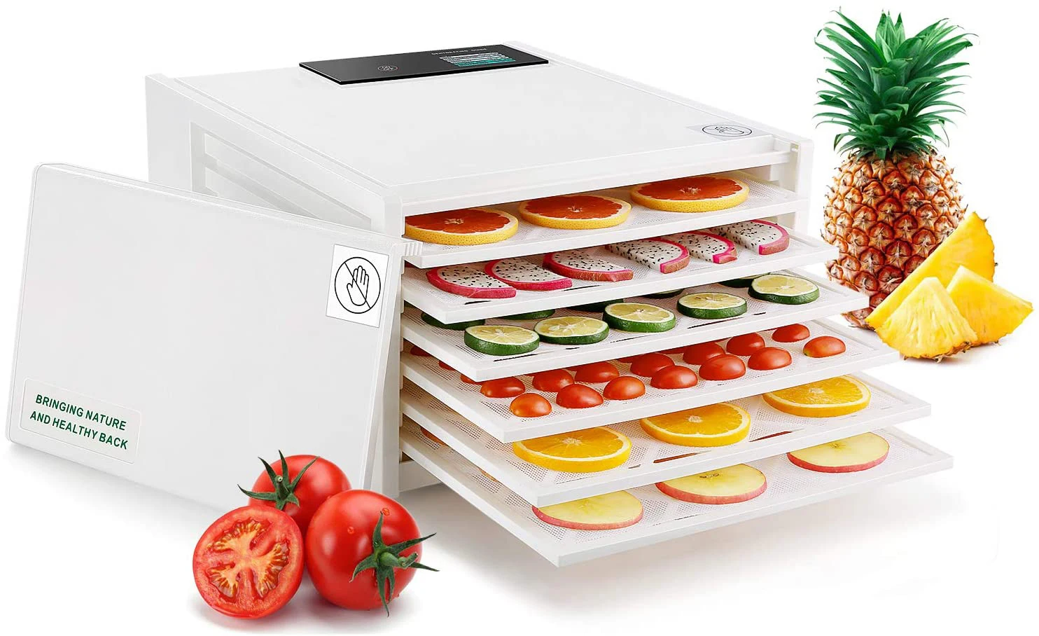 small 6 trays plastic digital fruit