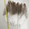 30-35 cm