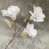 3 blancos