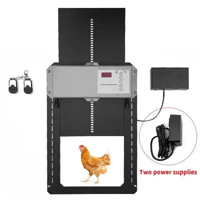 Multifunctional New Product 2022 Door Chicken Automatic Poultry