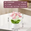 Gradient pink and white forget-me-not potted plant