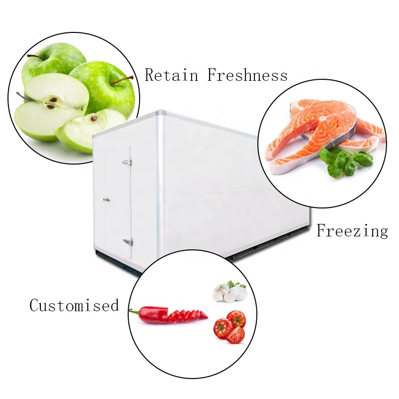 Cold Room Storage Refrigeration Units for Sales Price with Cam Lock Sandwich Wall Panel Cold Room for Fish Liquor