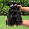 Fascio di Capelli Ricci Kinky