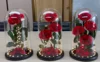 Red With Light 280-3Premium Box 19*19*31 cm, 3-pcs pack
