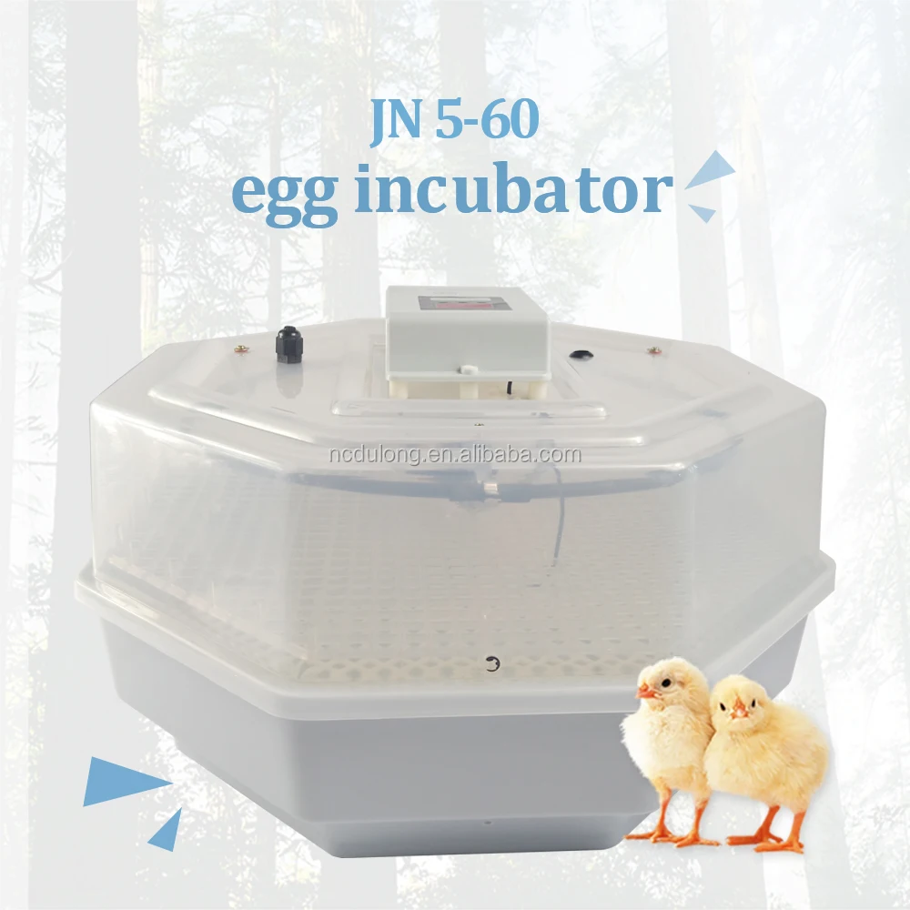 Jn260 Egg Incubators,Hatching Eggs,Chicken Incubator Buy Egg