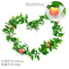 Peach vines (large fruit)