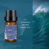 Ocean