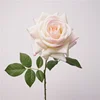 Milk Pink