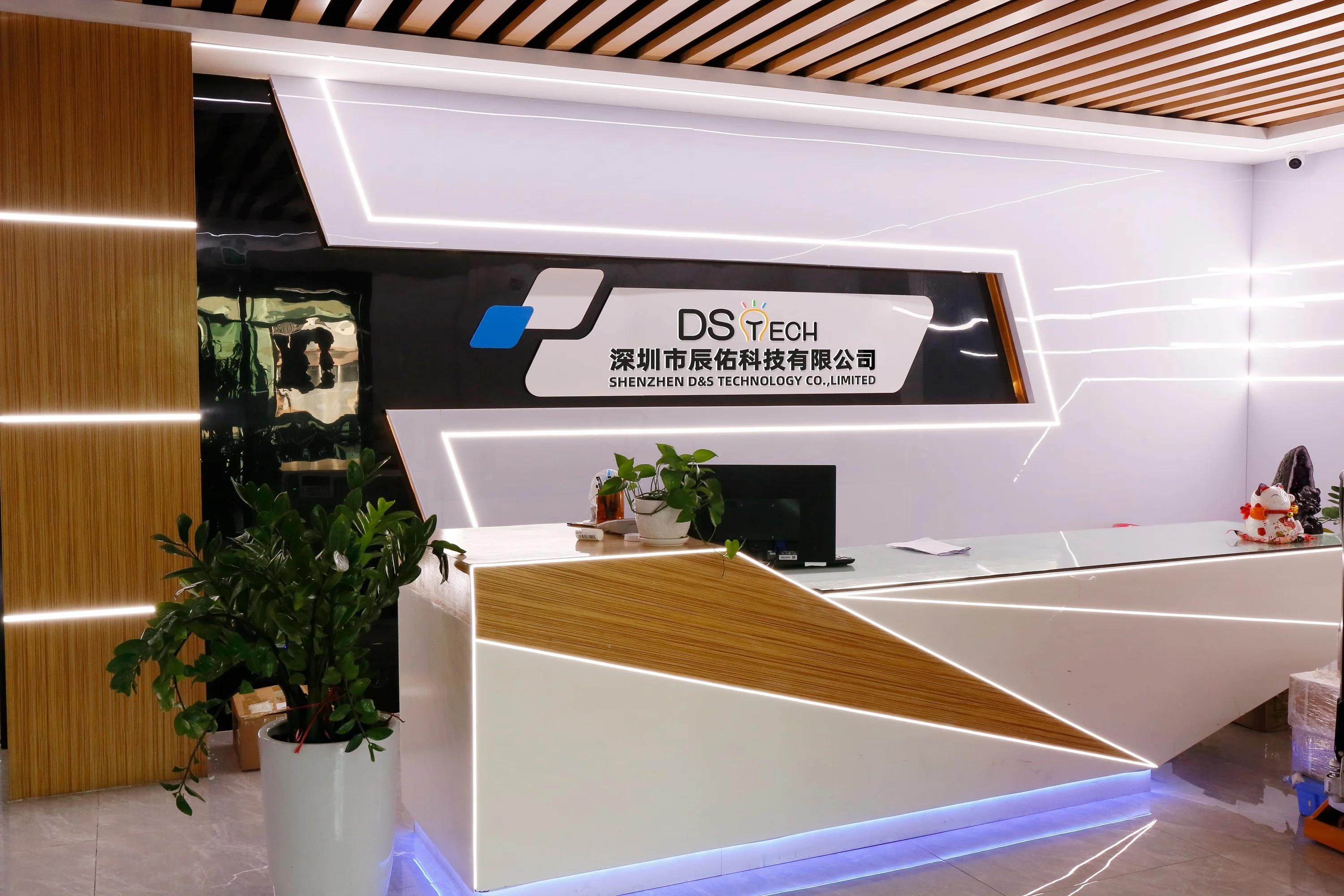 Shenzhen D&S Technology Co.,Limited