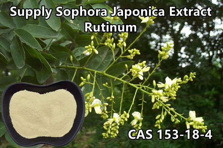 Factory Supply sophora japonica extract Rutin 95% Sophora Japonica Extract Rutin Powder 0