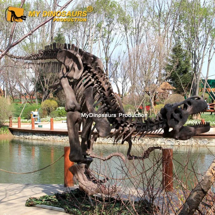 Мой Дино XJ400 Музей качества смолы в натуральную величину динозавр T-rex скелет