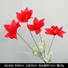 ดอกนาร์ซิส 4 ดอก