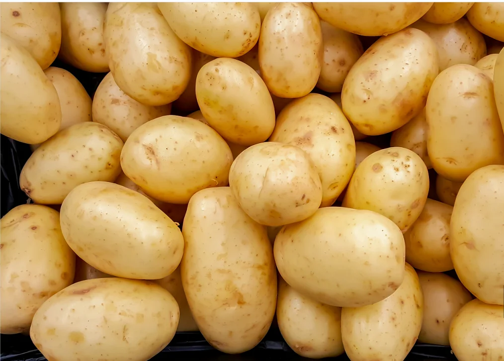 Chinese Supplier Fresh New Crop Vegetables New Crop Sweet Potato with Factory Low Price Fresh Potato  Carton Package