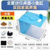 Desktop fish tank, blue size S + fishkeeping gift pack