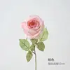 princess diana rose pink