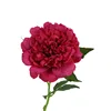 rosso chiaro