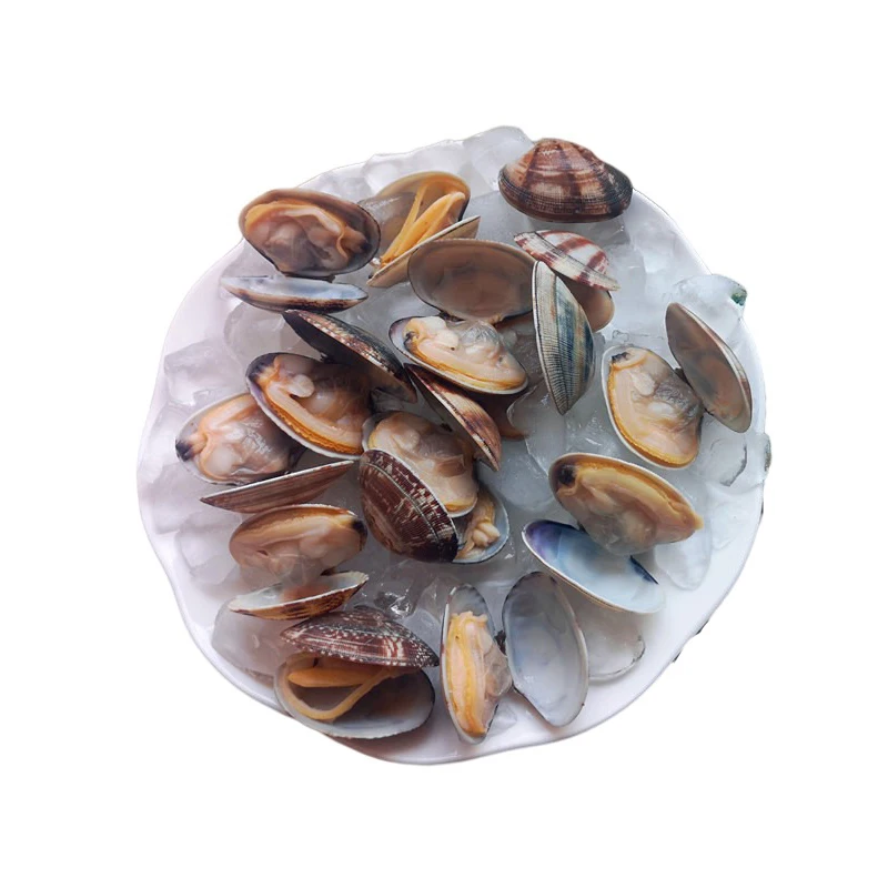 High Quality Frozen Short Necked Clam Buy Frozen Boiled Clam31 40 Supplier Clam Meat Frozen Clams Product On Alibaba Com