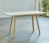 120*60 rectangular blanco mesa de café