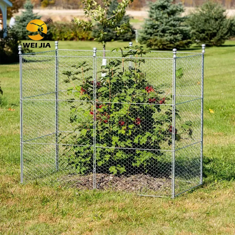 Professional Factory 11.8" Diameter X 15.7"Height  Plant Metal Mesh Protector and Cover, Garden Chicken Wire Cloche
