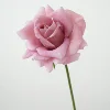 Rose brunâtre