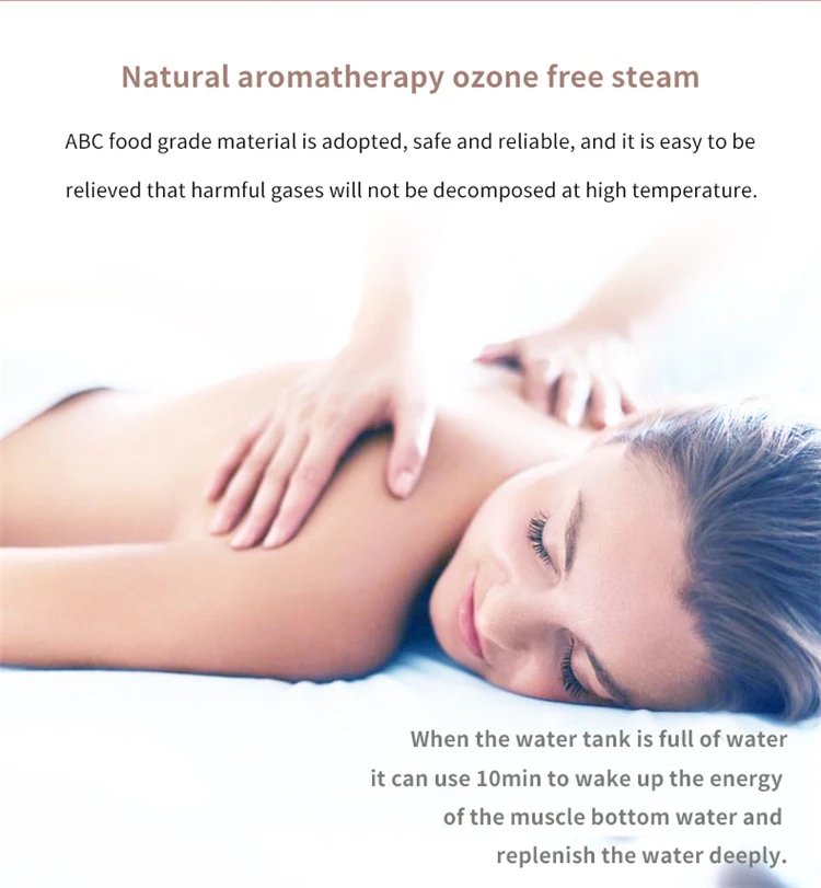 Facial Steamer