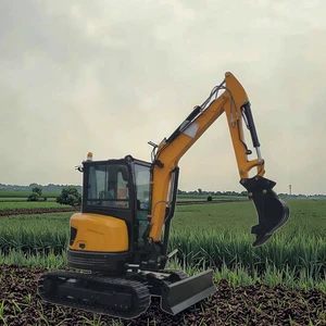 3 Ton Mini Excavator Small Excavator Mini Crawler Ground Digger Excavator Machine for Sale
