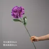 Morado oscuro