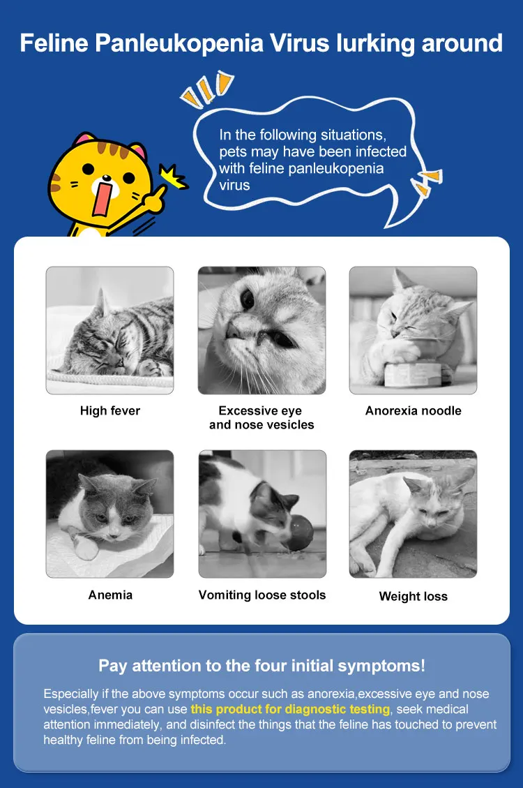 Photo inspiration: Feline Panleukopenia Outbreak Management Plan Reference: Veterinary Test Fpv Parvovirus Rapid Test Kit Feline Panleukopenia