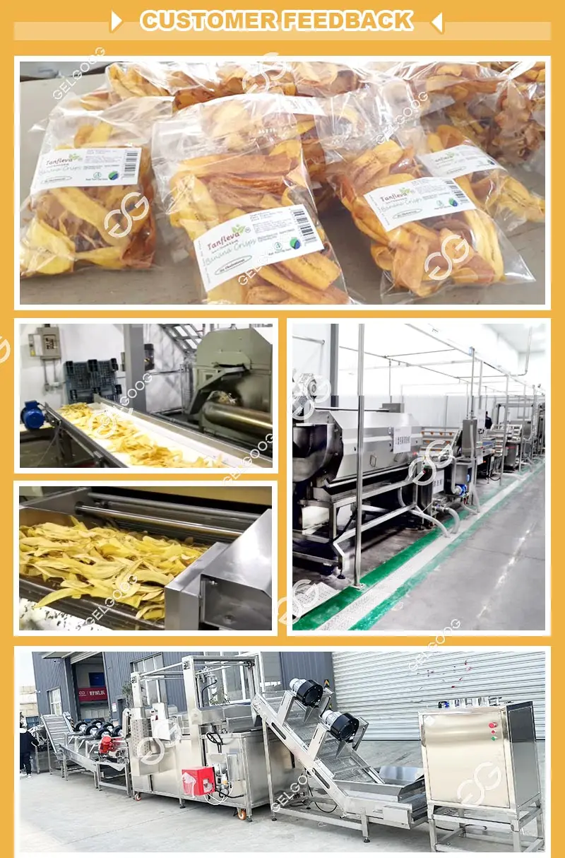 Gelgoog Water Plantain Chip Fryer Cassava Garri Fry Machine Plantain ...