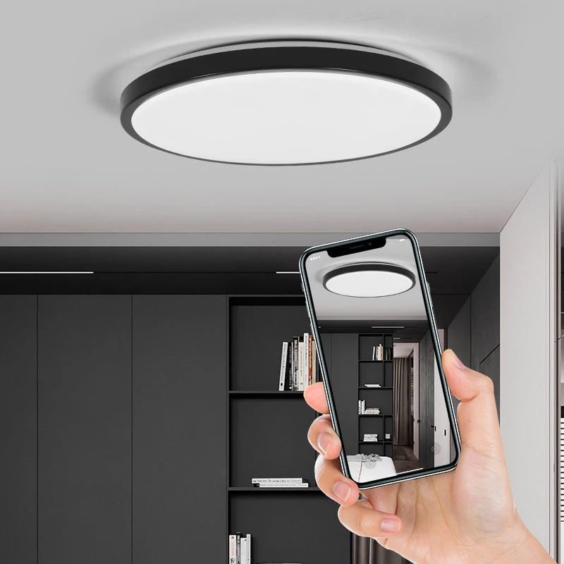 Wopoltop Human Infrared Induction Led Induction Ceiling Light Sound