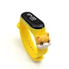 gato amarillo