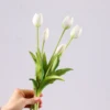 y1 white