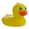 Duck Shape
