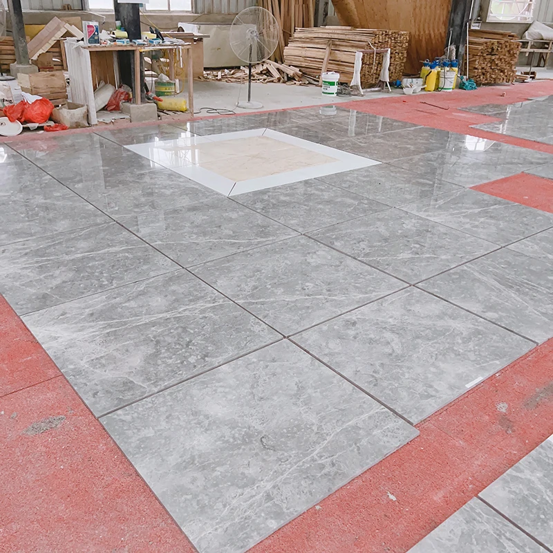 Silver Grey Laying (10).jpg