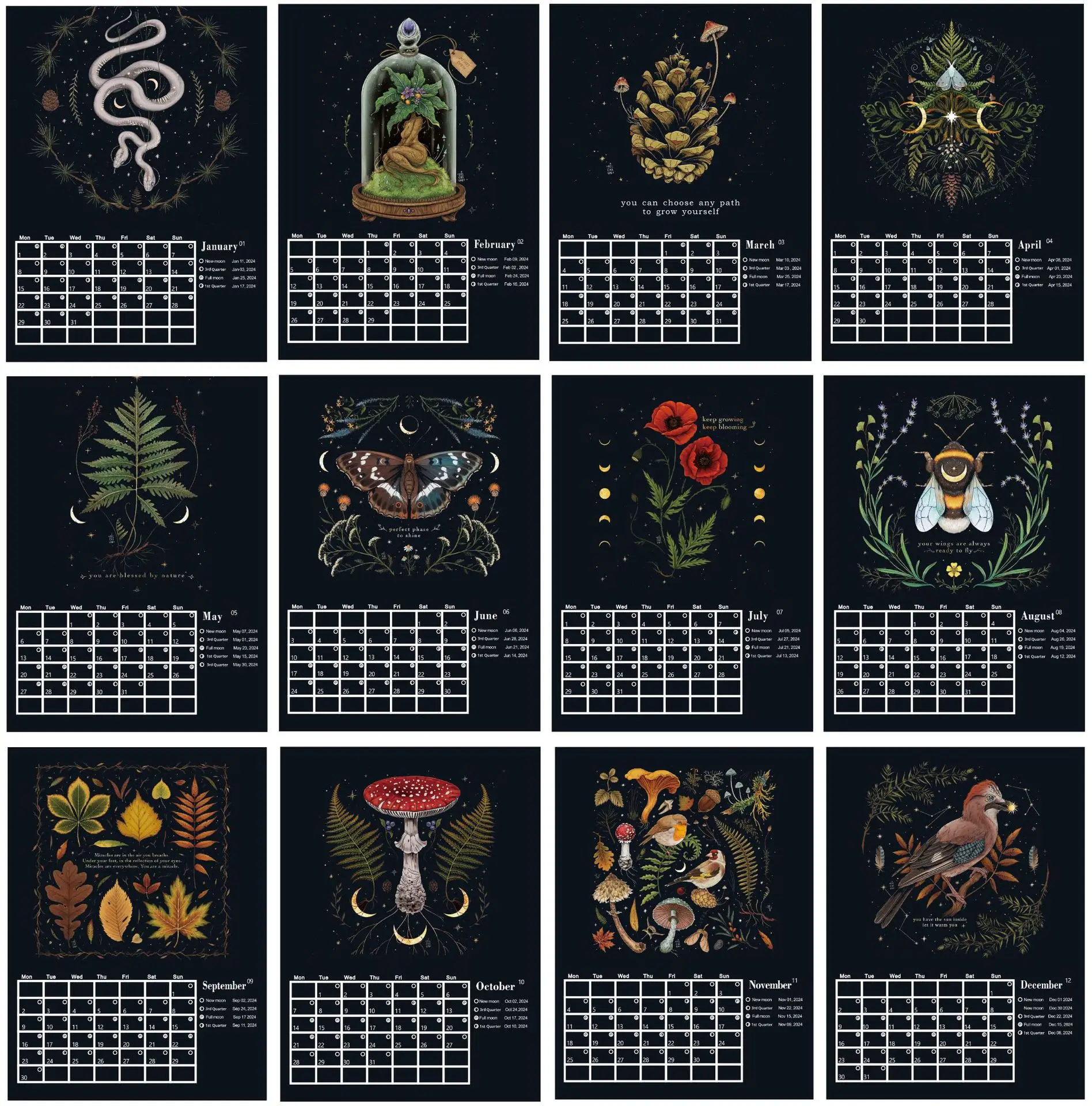 Dark Forest Lunar Calendar 2024 With12 Original Illustrations Colorful