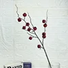 12 Red Hawthorns