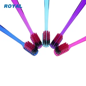 2026 New Arrival Quality Soft Nylon Bristles PETG Handle Silver Ion High End Home Use Toothbrush