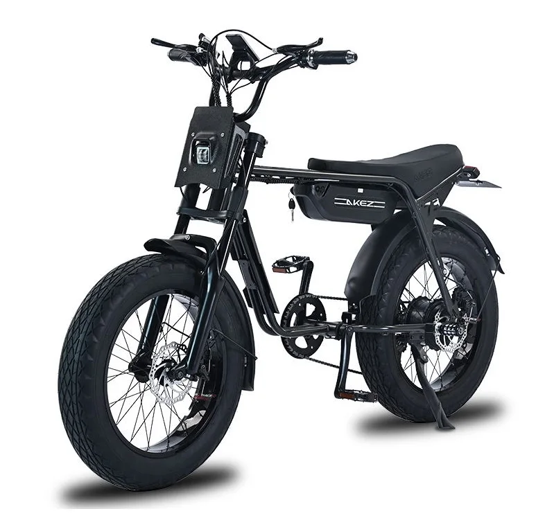 2025 ZX 20 Inch Fat Tires E-Bike 48V 750W/1500W Urban Bike