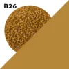 B26