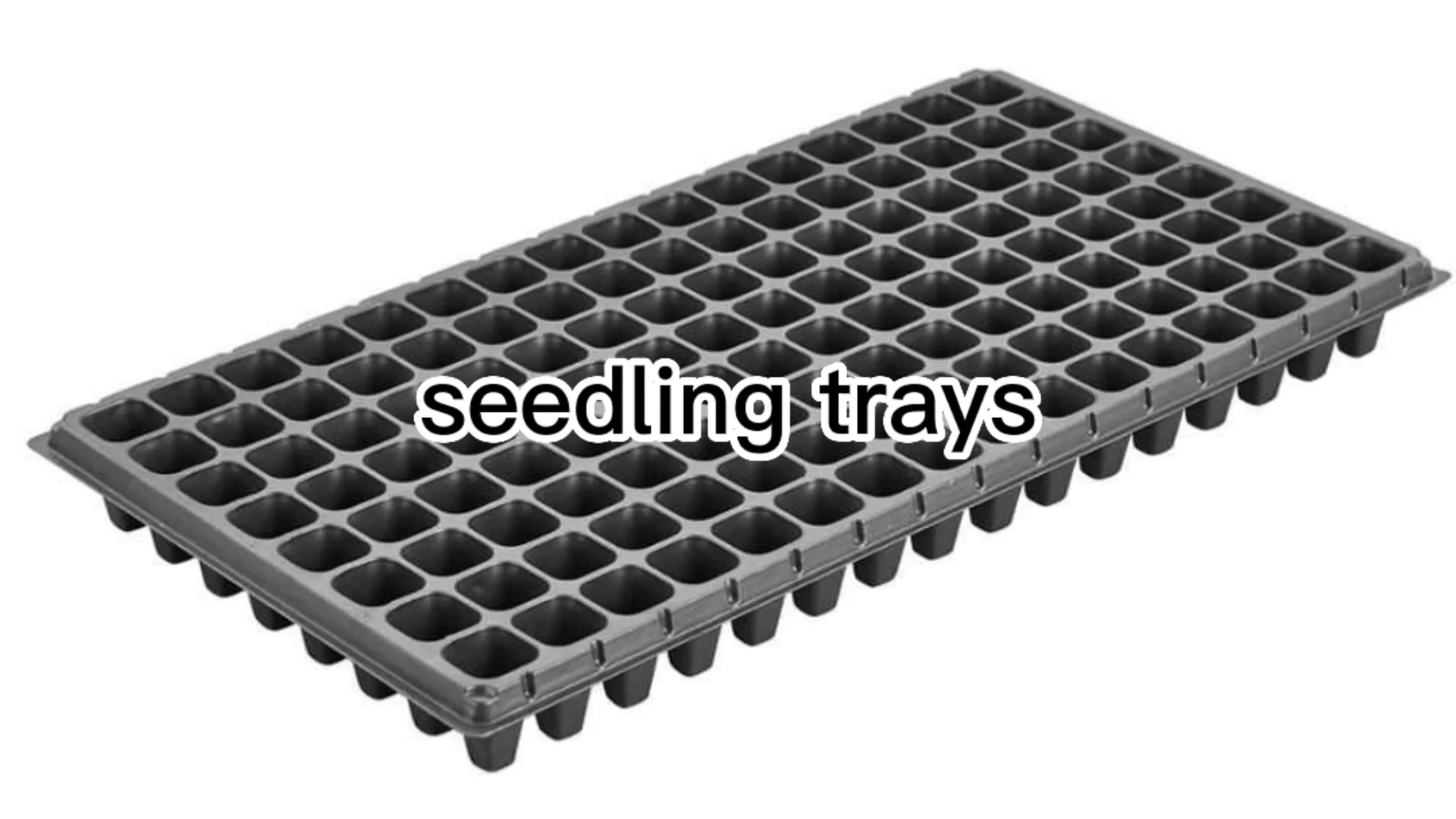 Garden Vegetable 200 Cells Plastic Rectangular Seed Tray Seed Nursery